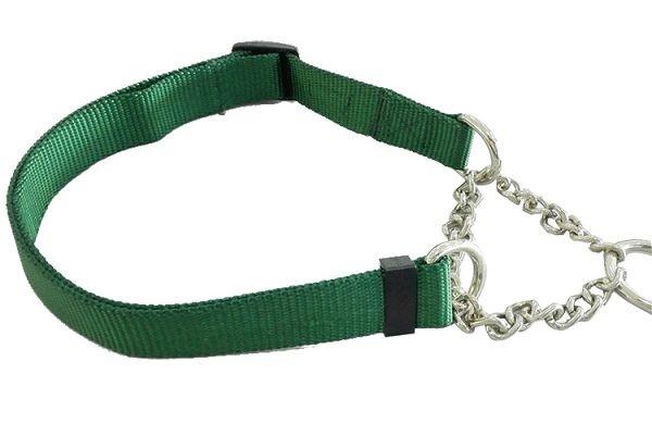 Martingale Dog Collar