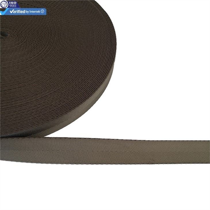 1 inch Polyester Webbing